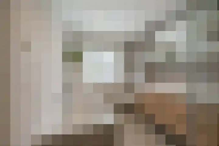 Vosselaan 86 Hillegom thumbnail 4