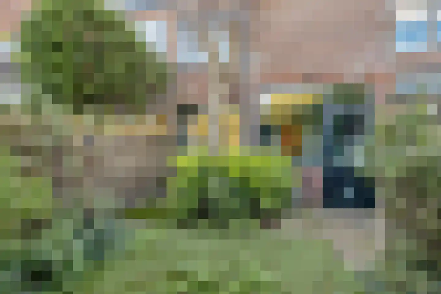 Vosselaan 9 Hillegom thumbnail 7