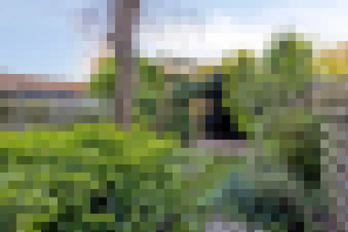 Vosselaan 9 Hillegom thumbnail 8