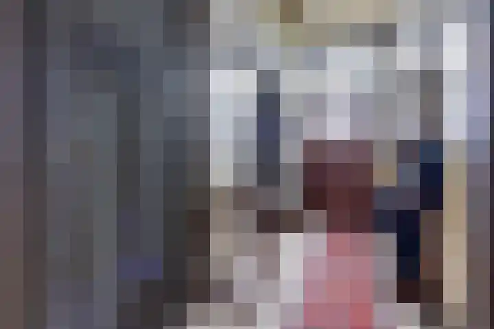 Vosseleane 1 Woudsend thumbnail 13