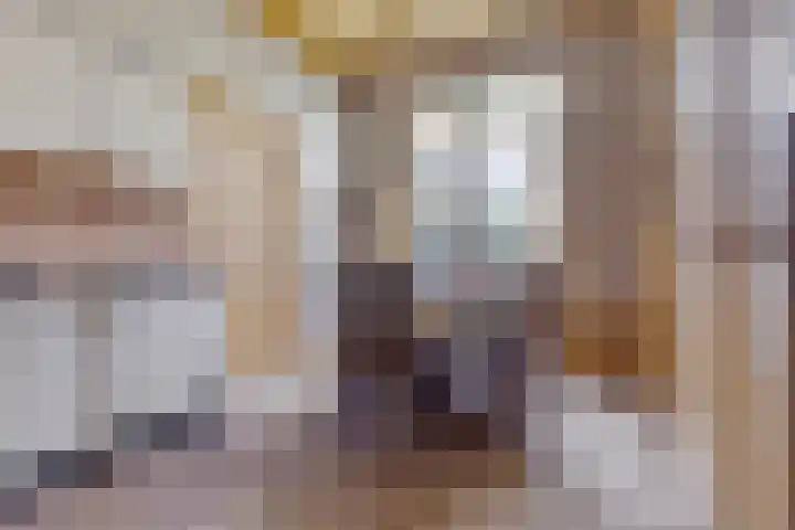 Vosseleane 1 Woudsend thumbnail 16