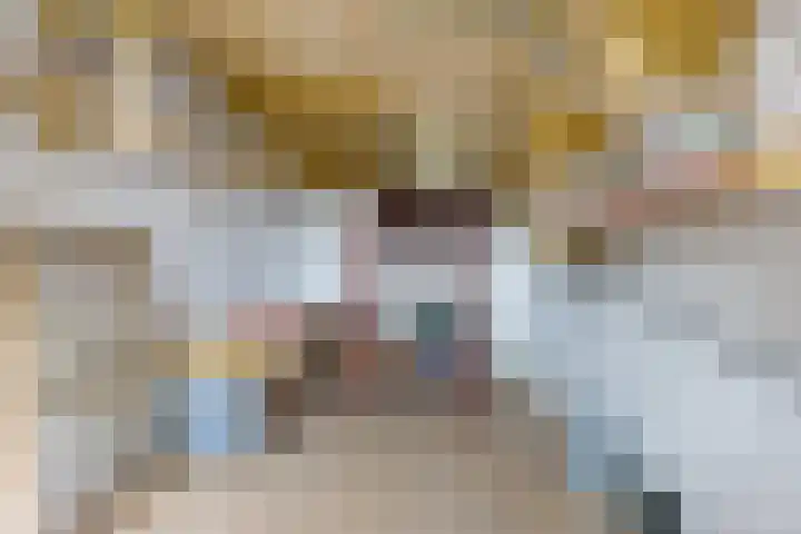 Vosseleane 1 Woudsend thumbnail 17