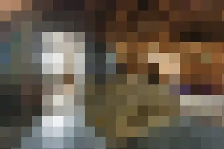 Vosseleane 1 Woudsend thumbnail 20