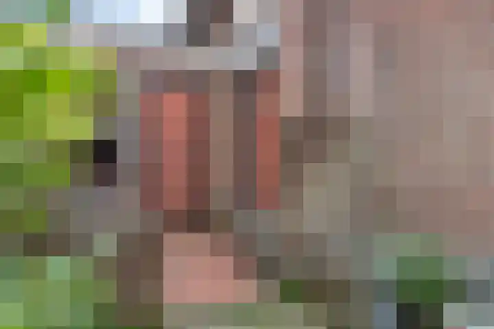 Vosseleane 1 Woudsend thumbnail 25