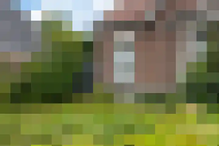 Vosseleane 1 Woudsend thumbnail 27