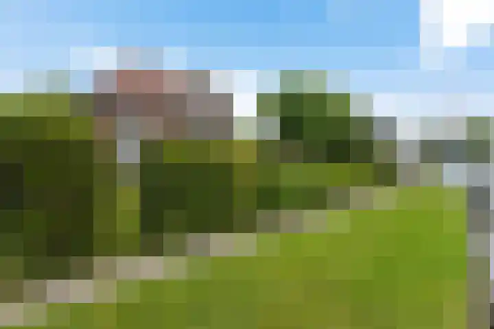 Vosseleane 1 Woudsend thumbnail 28