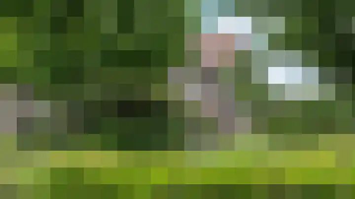 Vosseleane 1 Woudsend thumbnail 29