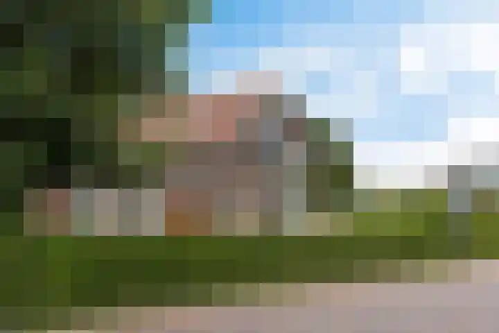 Vosseleane 1 Woudsend thumbnail 30