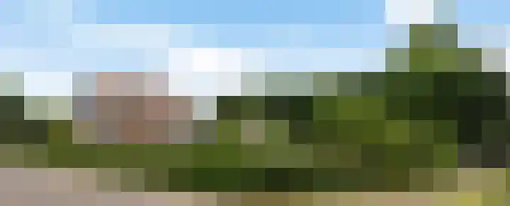 Vosseleane 1 Woudsend thumbnail 31