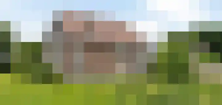 Vosseleane 1 Woudsend thumbnail 32