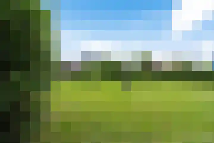 Vosseleane 1 Woudsend thumbnail 33