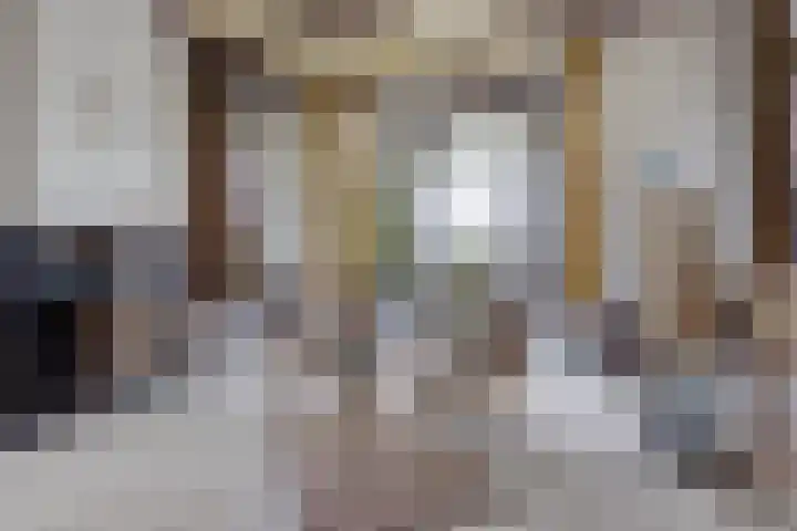 Vosseleane 1 Woudsend thumbnail 4