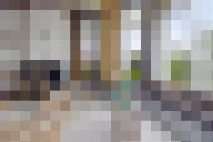 Vosseleane 1 Woudsend thumbnail 5