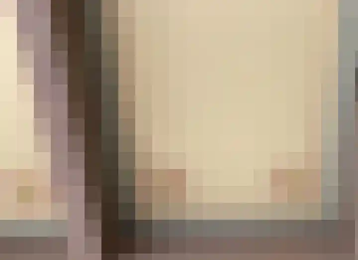 Vosseleane 1 Woudsend thumbnail 7