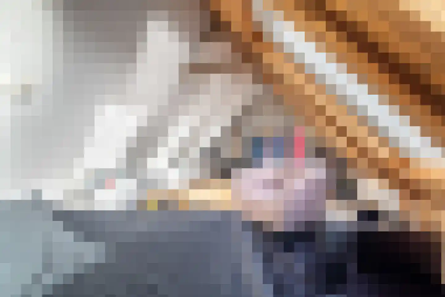 Vosseleane 2 Woudsend thumbnail 27