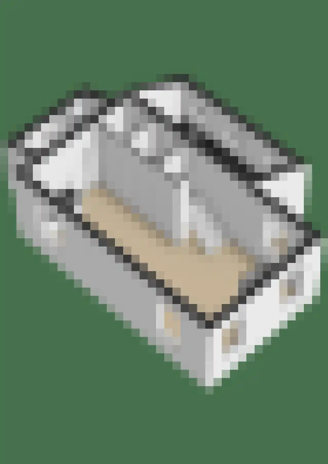 Vosseleane 2 Woudsend thumbnail 42