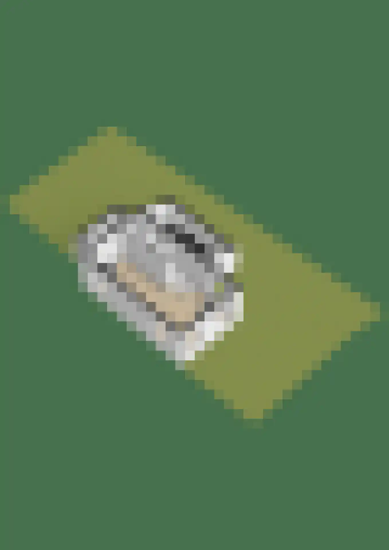 Vosseleane 2 Woudsend thumbnail 44