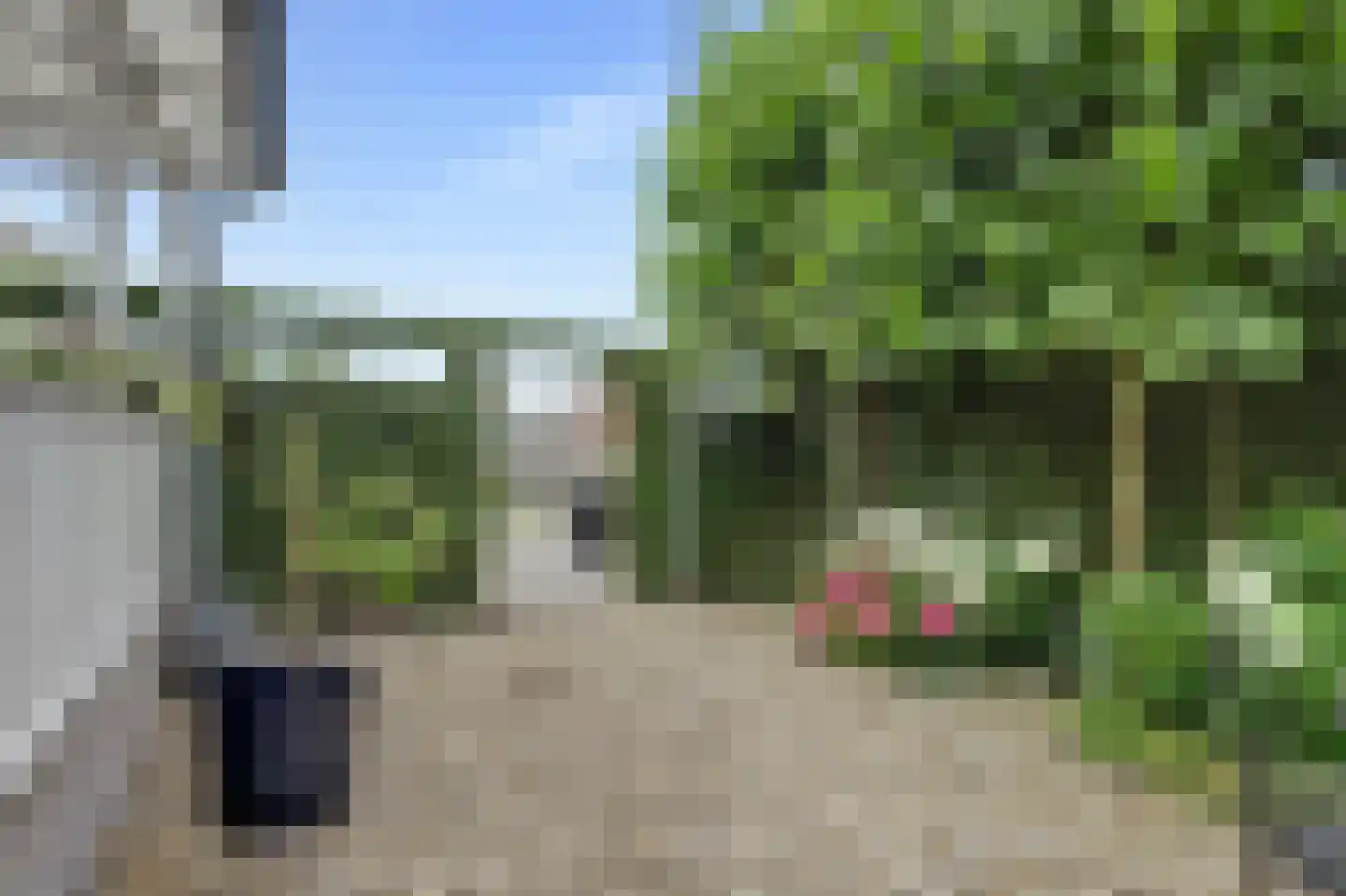 Vosseleane 27 Woudsend thumbnail 22