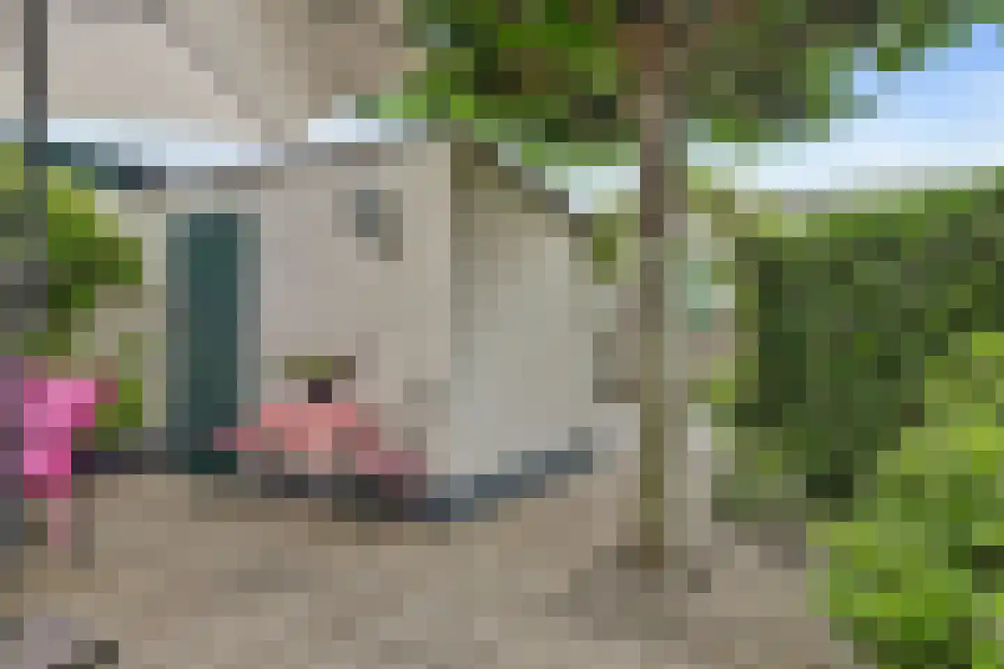 Vosseleane 27 Woudsend thumbnail 23