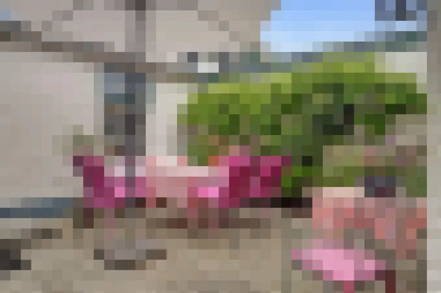 Vosseleane 27 Woudsend thumbnail 24