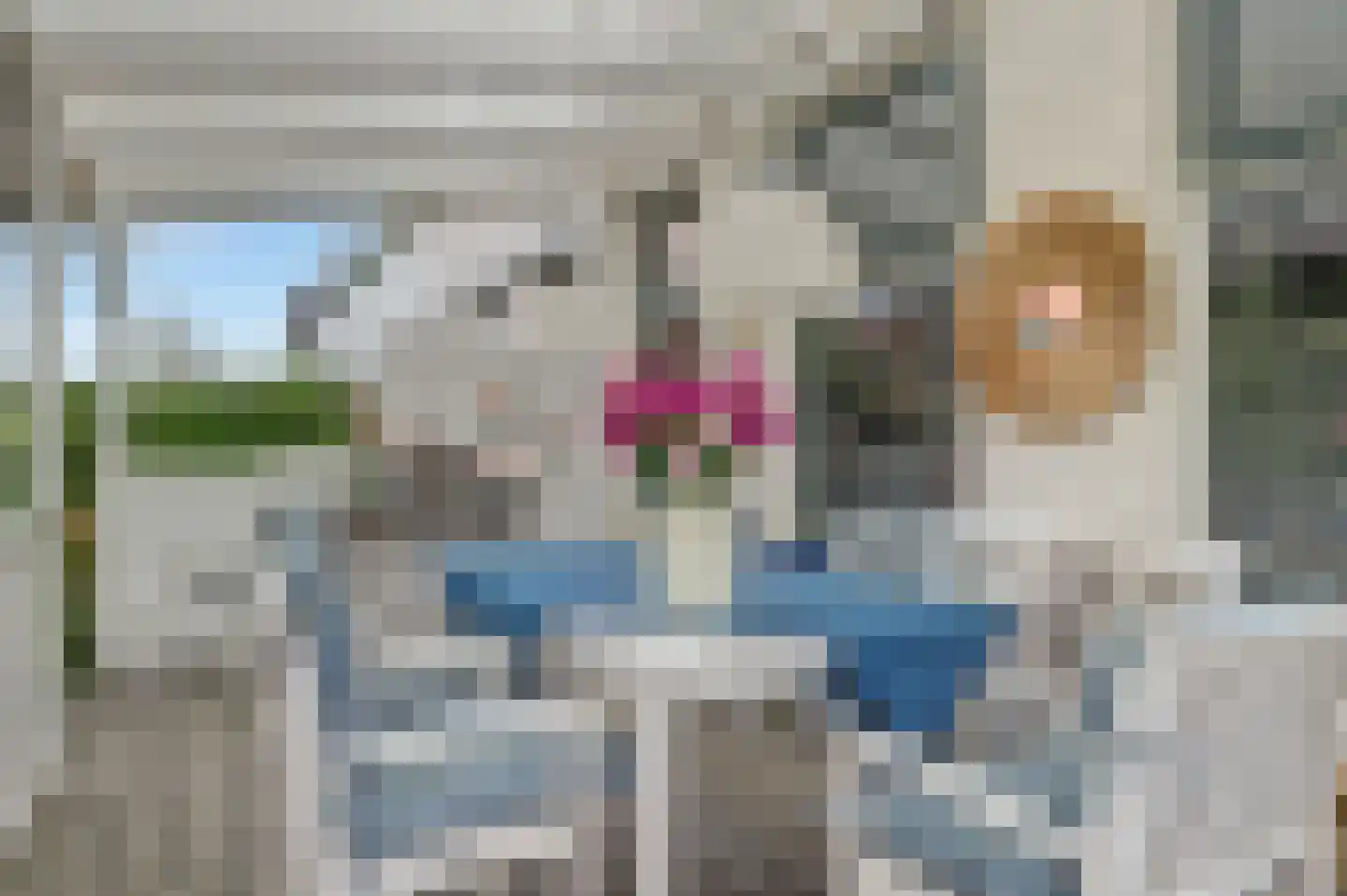 Vosseleane 27 Woudsend thumbnail 5