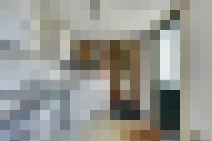 Vosseleane 29 Woudsend thumbnail 15