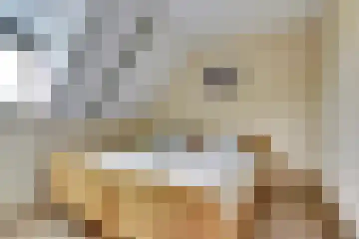 Vosseleane 29 Woudsend thumbnail 16