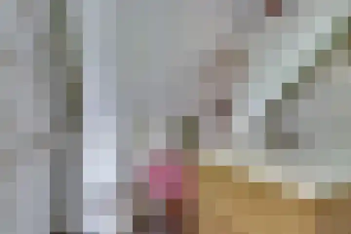Vosseleane 29 Woudsend thumbnail 17