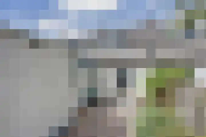 Vosseleane 29 Woudsend thumbnail 21