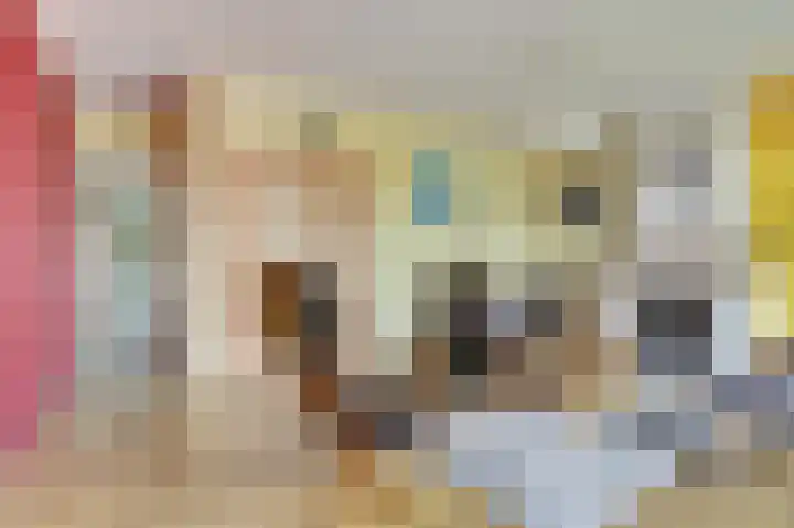 Vosseleane 29 Woudsend thumbnail 5