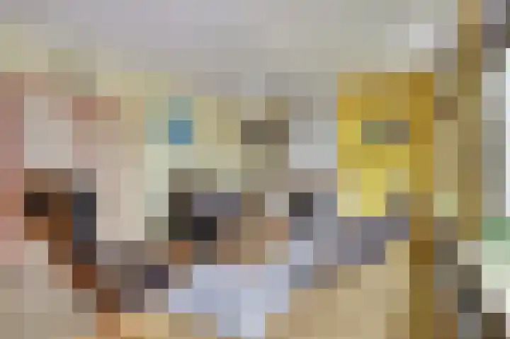 Vosseleane 29 Woudsend thumbnail 6