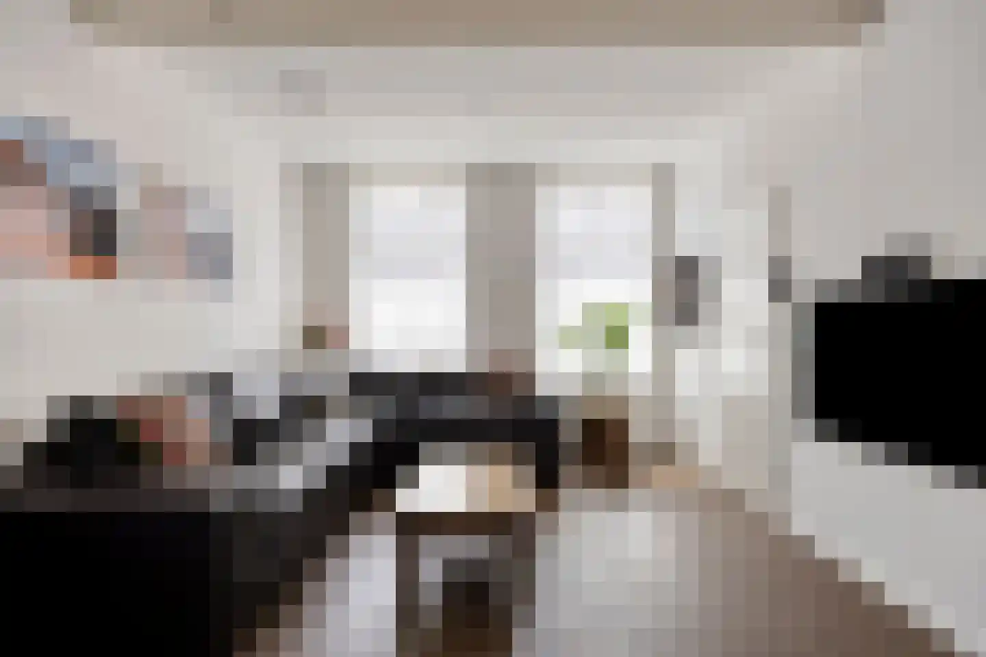 Vossemeersepoort 20 Tholen thumbnail 10