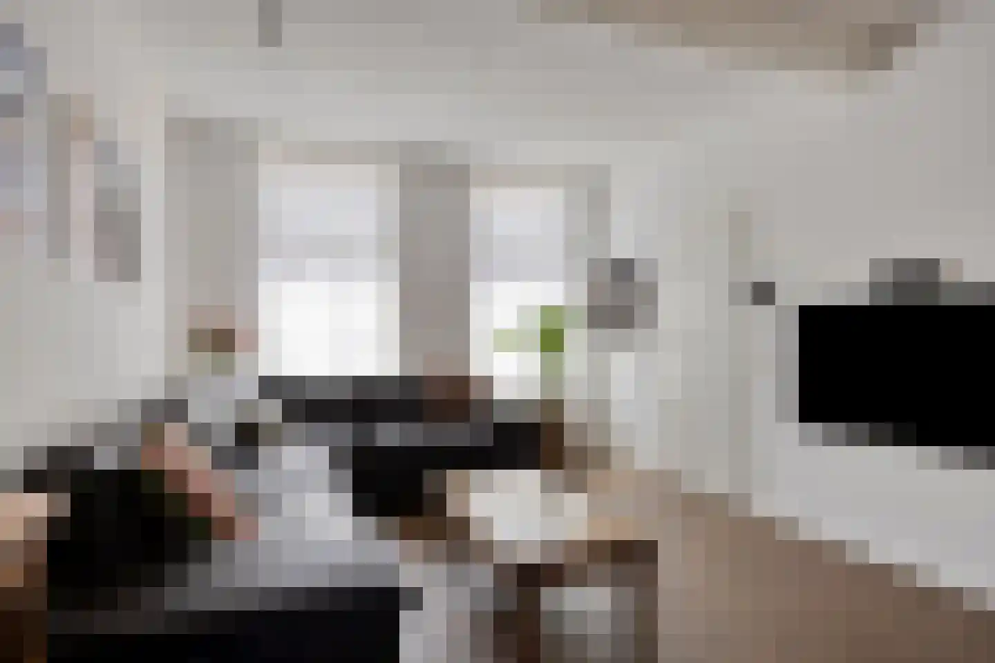 Vossemeersepoort 20 Tholen thumbnail 11