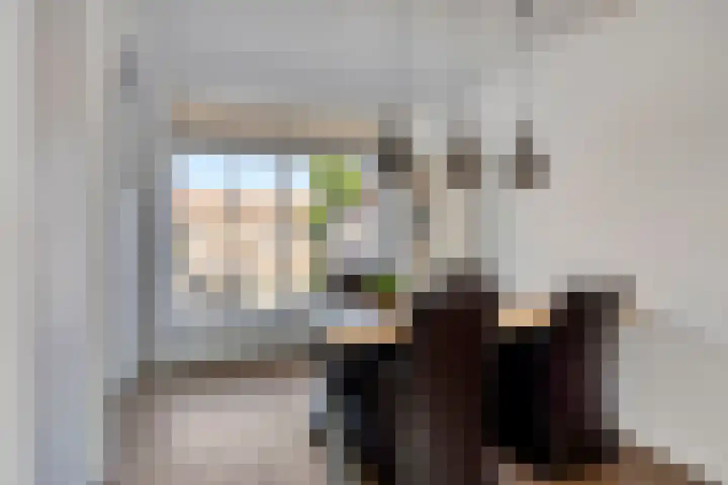 Vossemeersepoort 20 Tholen thumbnail 13