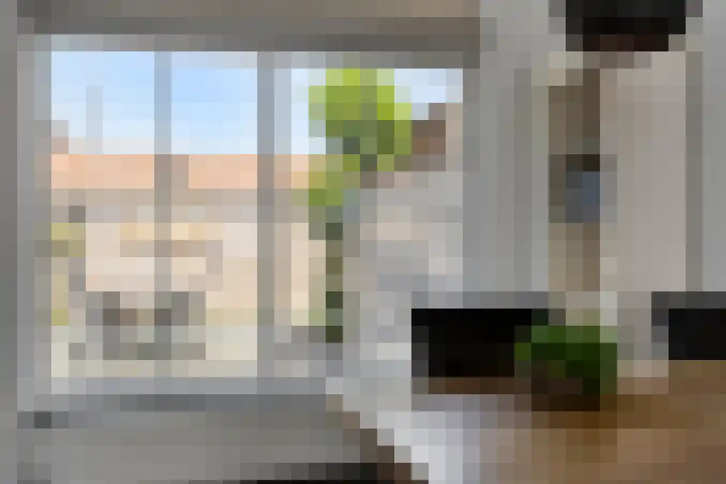 Vossemeersepoort 20 Tholen thumbnail 16
