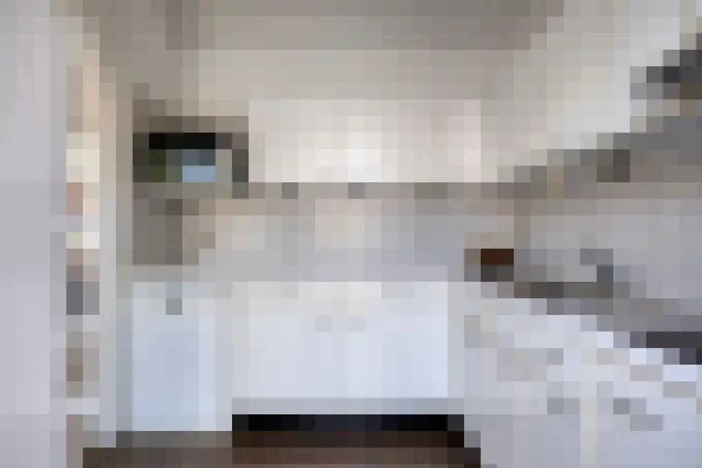 Vossemeersepoort 20 Tholen thumbnail 18
