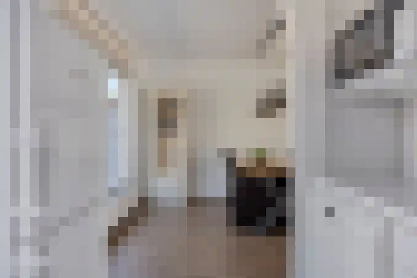 Vossemeersepoort 20 Tholen thumbnail 19