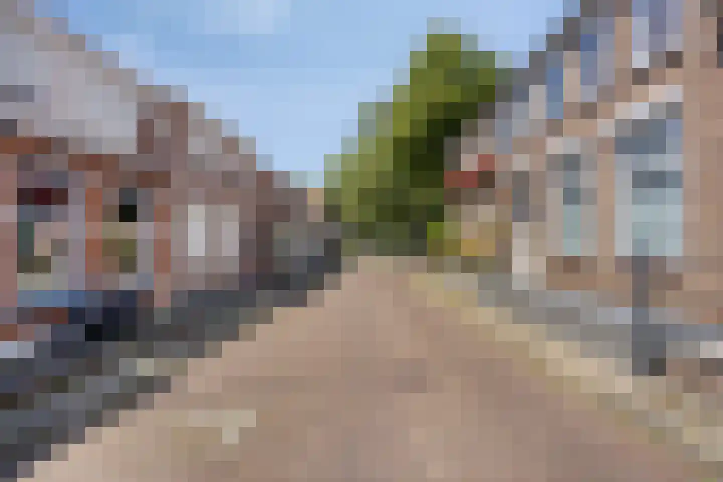 Vossemeersepoort 20 Tholen thumbnail 45