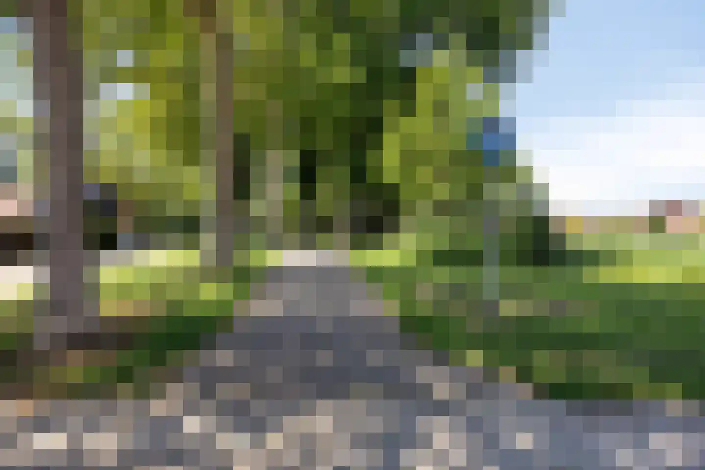 Vossemeersepoort 20 Tholen thumbnail 46