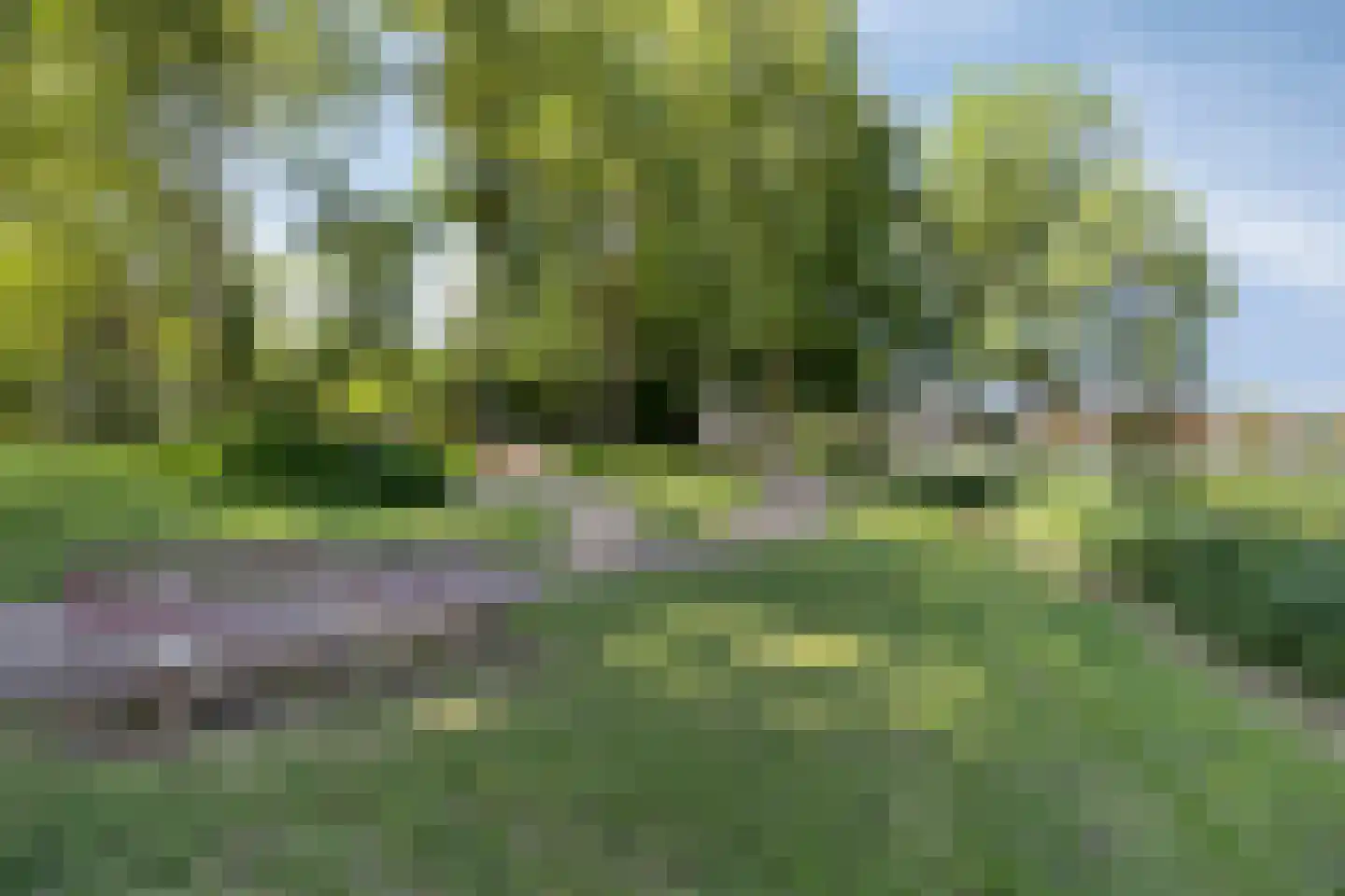Vossemeersepoort 20 Tholen thumbnail 47