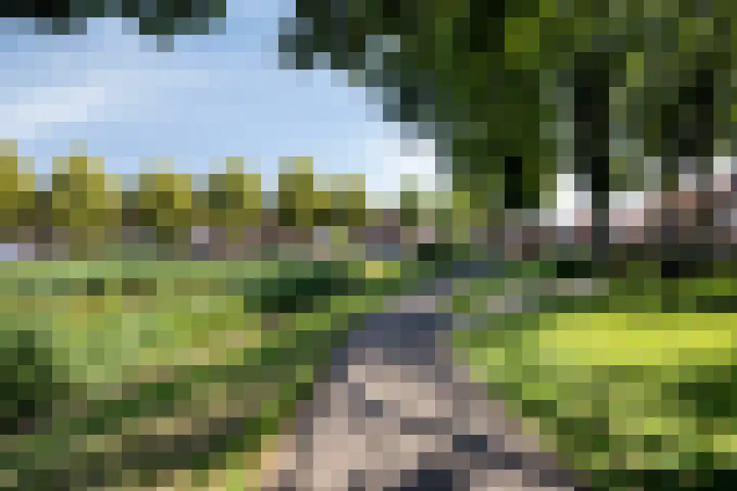 Vossemeersepoort 20 Tholen thumbnail 49