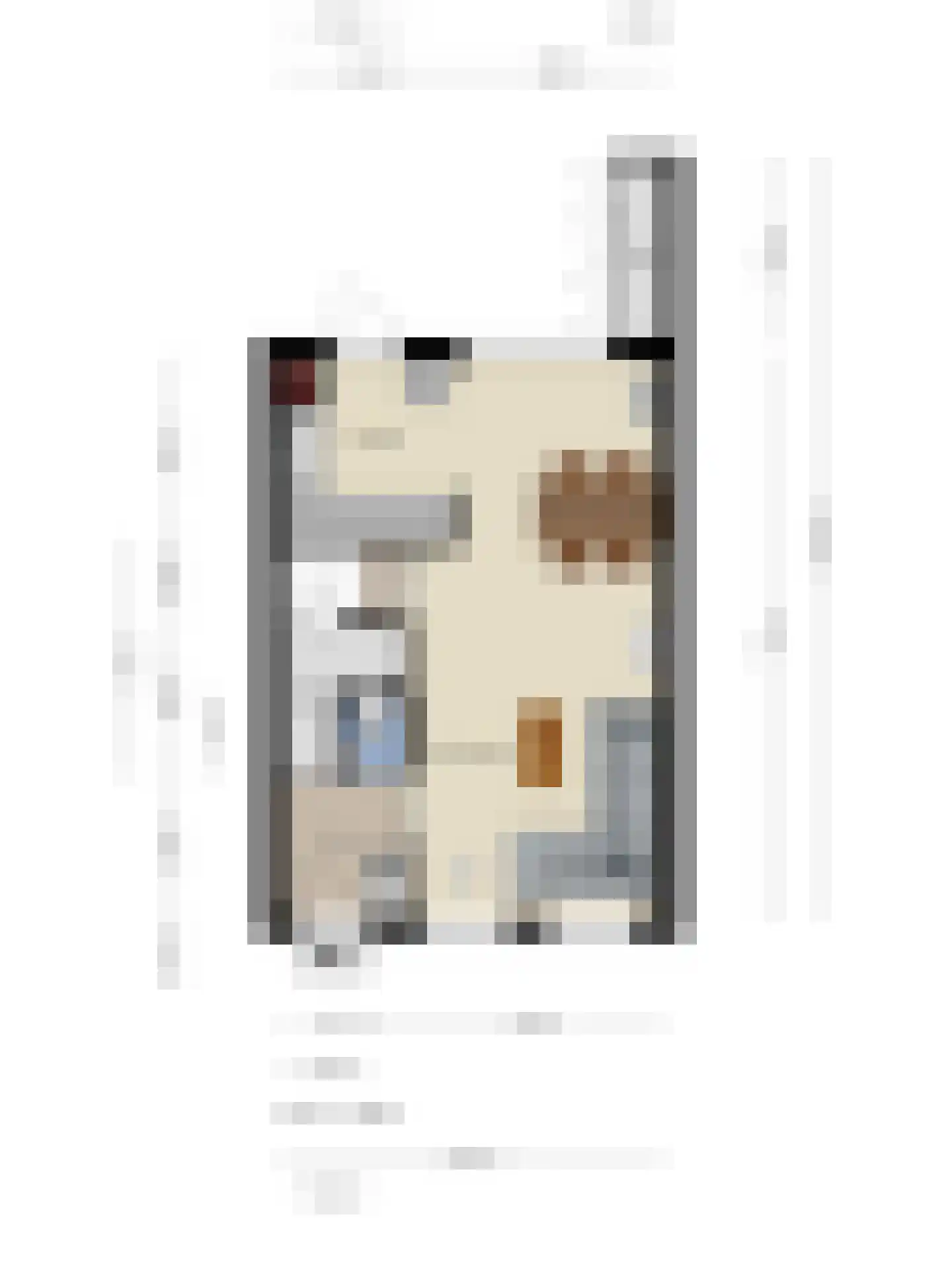 Vossemeersepoort 20 Tholen thumbnail 52