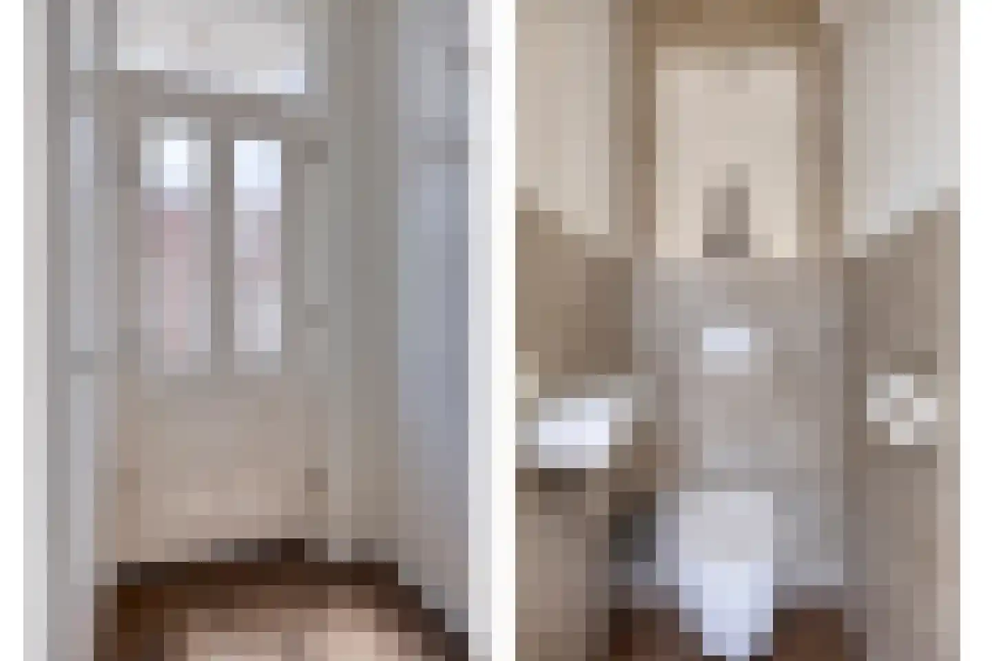 Vossemeersepoort 20 Tholen thumbnail 6