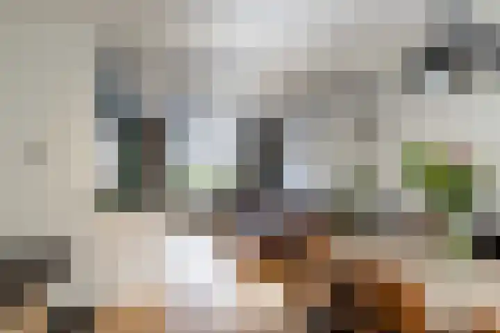 Vossemeersepoort 26 Tholen thumbnail 10
