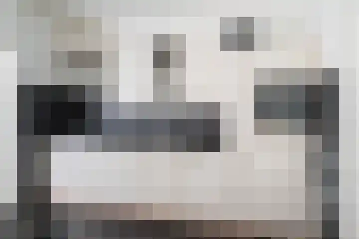 Vossemeersepoort 26 Tholen thumbnail 12