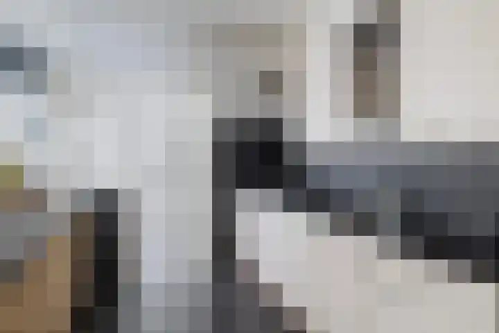 Vossemeersepoort 26 Tholen thumbnail 13