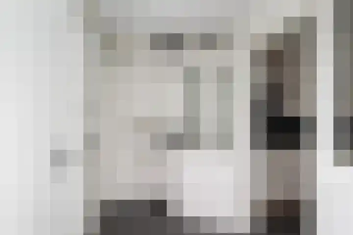 Vossemeersepoort 26 Tholen thumbnail 17