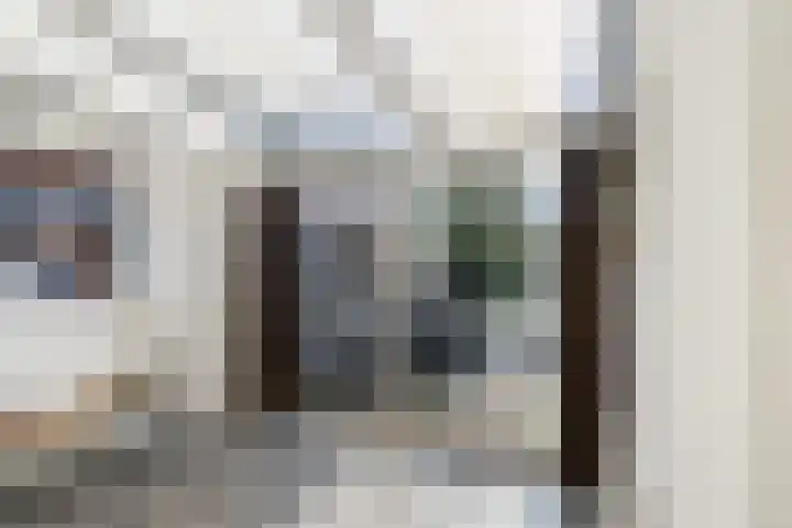 Vossemeersepoort 26 Tholen thumbnail 18