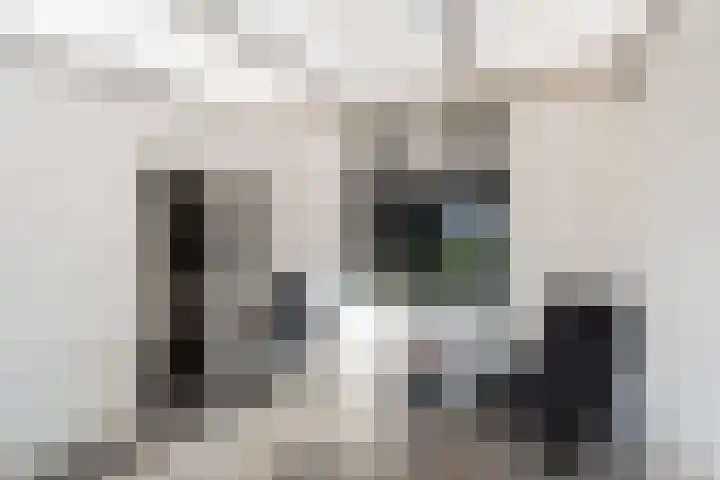 Vossemeersepoort 26 Tholen thumbnail 20
