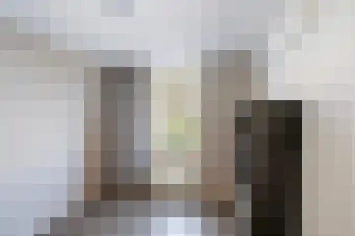Vossemeersepoort 26 Tholen thumbnail 23